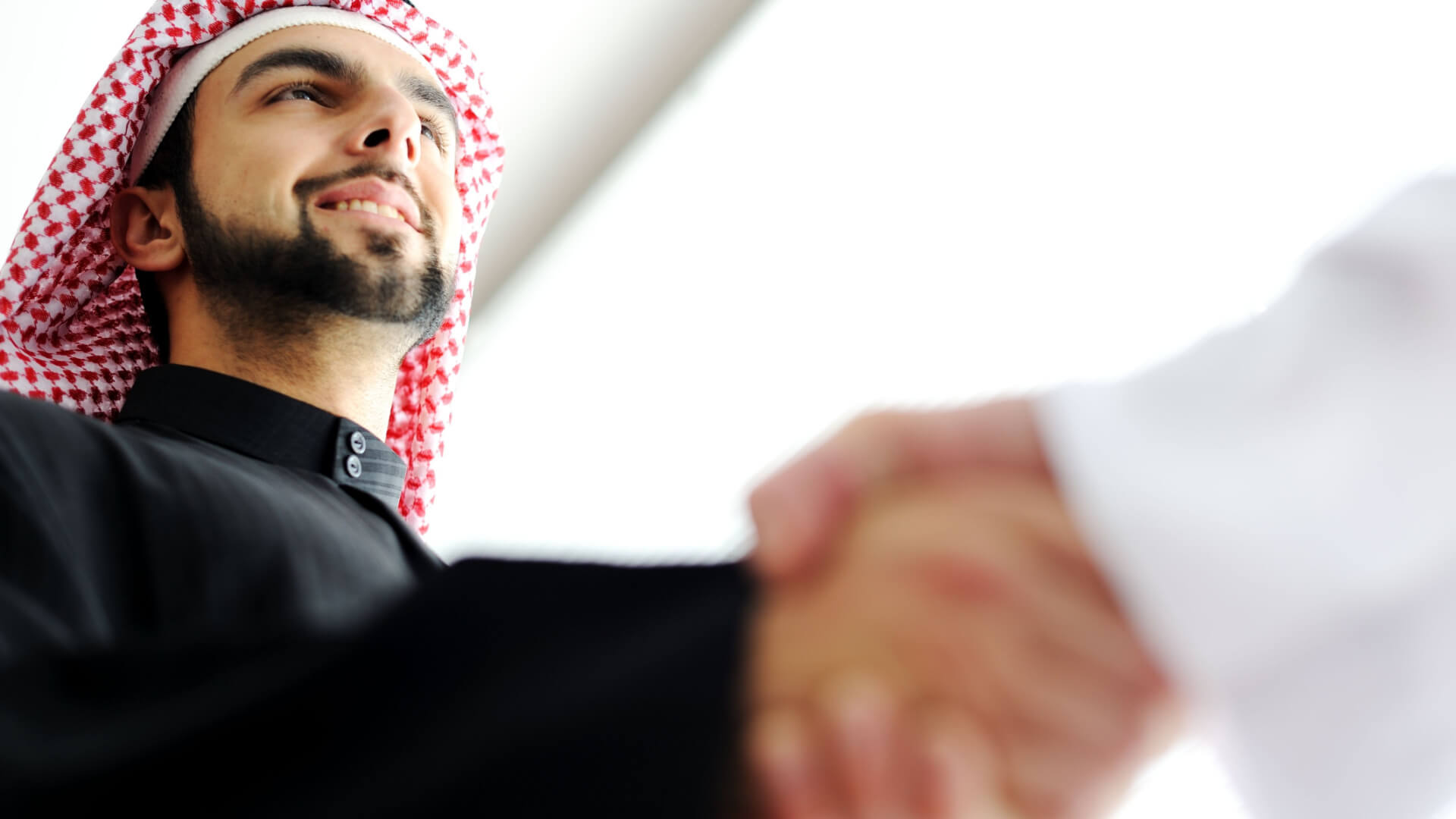 Foreign Business Owners