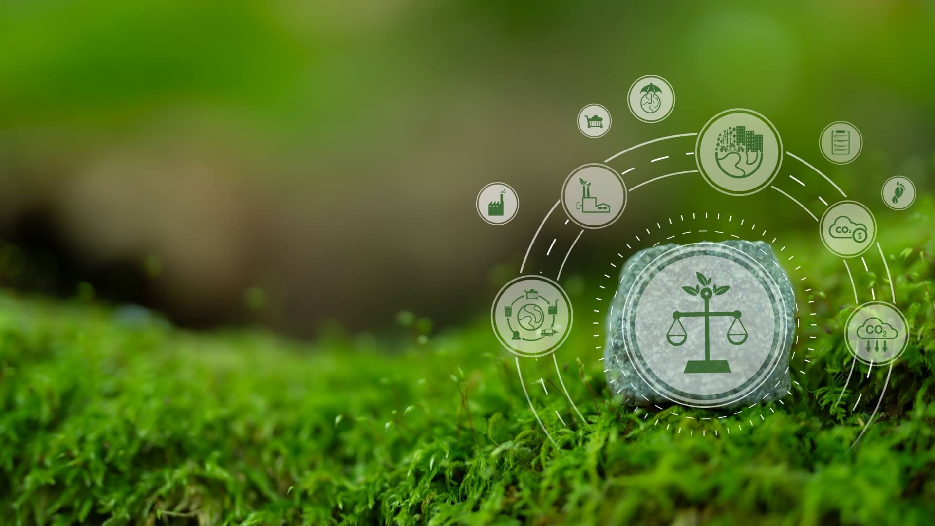 environment regulations